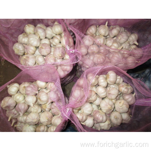 Loose Bag Normal white garlic of 10kg